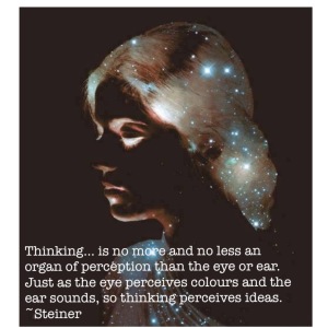thinking-is-an-organ-of-perception-of-ideas